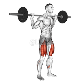 Low Bar Squat demonstration