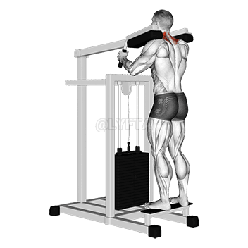 Lever Gripless Shrug demonstration