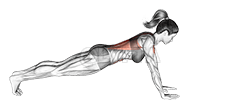 Plank arm lifts demonstration