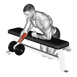 Over Bench One Arm Reverse Wrist Curl demonstration
