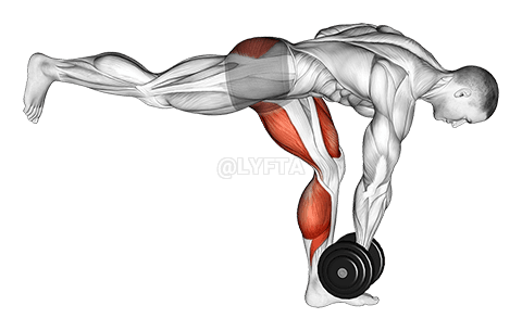 Dumbbell RDL Stretch Isometric demonstration
