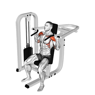 Lever Seated Shoulder Press