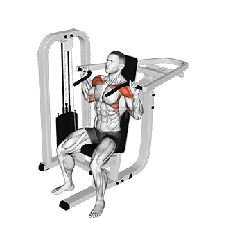 Image of Lever Seated Shoulder Press