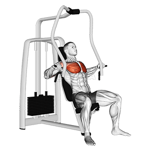 Lever Chest Press demonstration