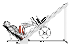 Sled 45° Leg Press demonstration