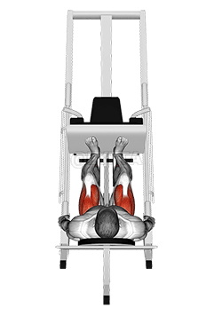 Sled 45° Leg Press demonstration