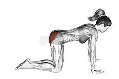 Bent Leg Kickback demonstration