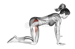 Bent Leg Side Kick demonstration