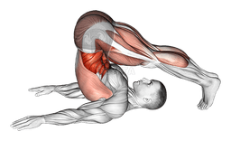 Plow Yoga Pose