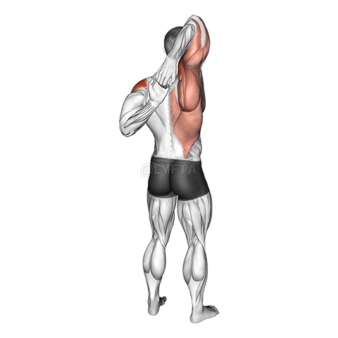 Shoulder Stretch Behind the Back demonstration