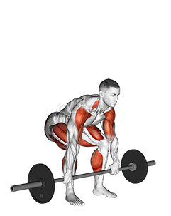 Image of Barbell Clean Pull
