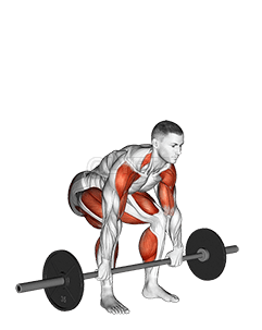 Image of Barbell Clean Pull