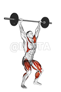 Image of Barbell Power Snatch