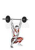 Image of Barbell Snatch