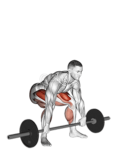 Barbell Snatch Deadlift