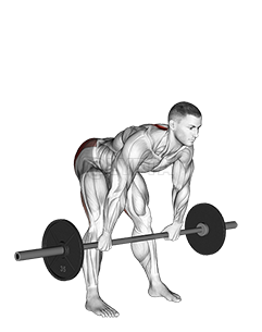 Barbell Wide Stance Stiff Leg Deadlift