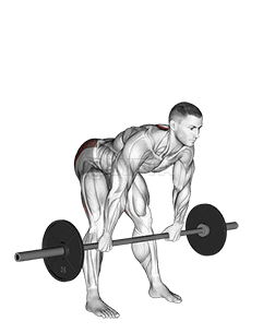 Image of Barbell Wide Stance Stiff Leg Deadlift