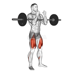 full Zercher Squat demonstration