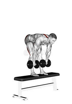 Thumbnail for the video of exercise: Dumbbell Stiff Leg Deadlift on Bench