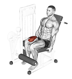 Lever One Leg Extension demonstration