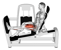 Thumbnail for the video of exercise: Sentadilla con una pierna y sentado con palanca