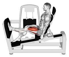 Thumbnail for the video of exercise: Sentadilla con una pierna sentado con palanca