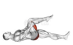 Leg Up Hamstring Stretch demonstration