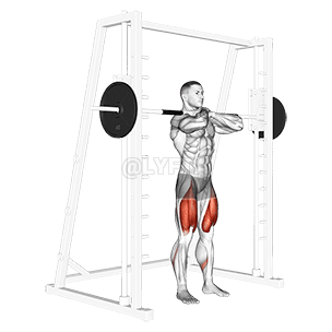 Smith Front Squat demonstration
