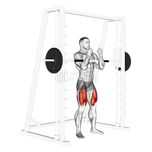 Thumbnail for the video of exercise: Smith Zercher Squat