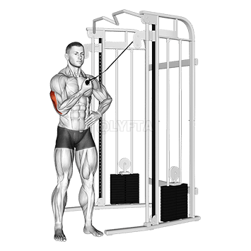 One Arm Side Triceps Pushdown demonstration