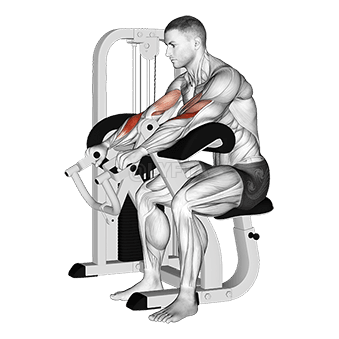 Lever Reverse Grip Preacher Curl demonstration