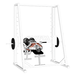 Smith Machine Reverse Decline Close Grip Bench Press demonstration