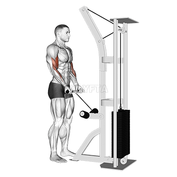 Drag Curl demonstration