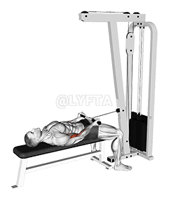 Cable Lying Bicep Curl demonstration