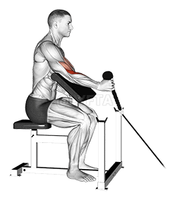 Cable Rope One Arm Hammer Preacher Curl demonstration