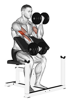Dumbbell Alternate Preacher Curl demonstration