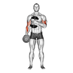 Cross Body Hammer Curl