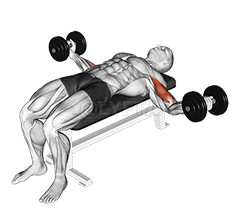 Dumbbell Lying Wide Curl demonstration