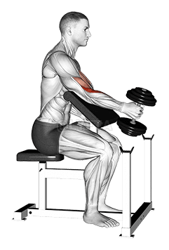 Dumbbell One Arm Hammer Preacher Curl demonstration