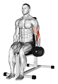 Dumbbell One Arm Seated Hammer Curl demonstration
