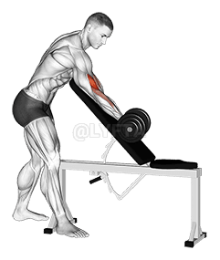 Dumbbell Standing One Arm Curl Over Incline Bench demonstration