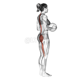 Thumbnail for the video of exercise: Medicine Ball Single Leg Deadlift
