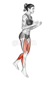 Thumbnail for the video of exercise: Forward Hops