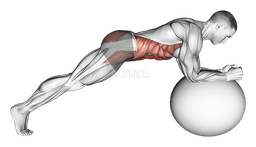 Stability Ball Front Plank