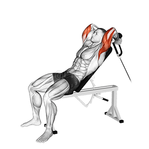 Rope Incline Tricep Extension demonstration