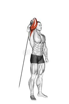 Cable Standing Reverse Grip One Arm Overhead Tricep Extension demonstration