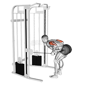 Two Arm Tricep Kickback demonstration