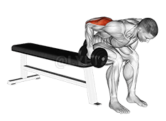 Dumbbell Seated Bent Over Triceps Extension demonstration