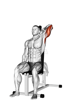 Dumbbell Seated Reverse Grip One Arm Overhead Tricep Extension