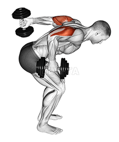 Dumbbell Standing Alternating Tricep Kickback demonstration